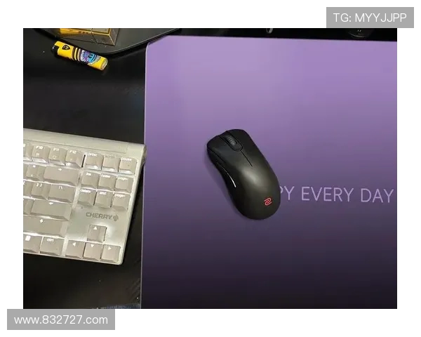 电竞游戏鼠标垫品牌推荐提升FPS竞技表现的优质选择